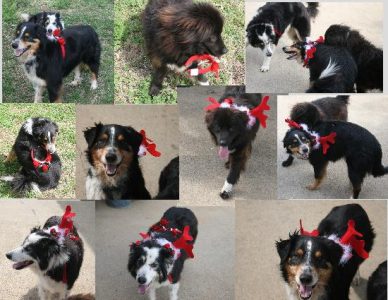 Merry Christmas card for 2012 Image